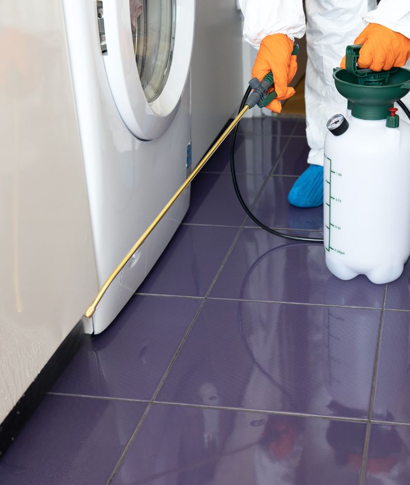 Dedetização em Fortaleza